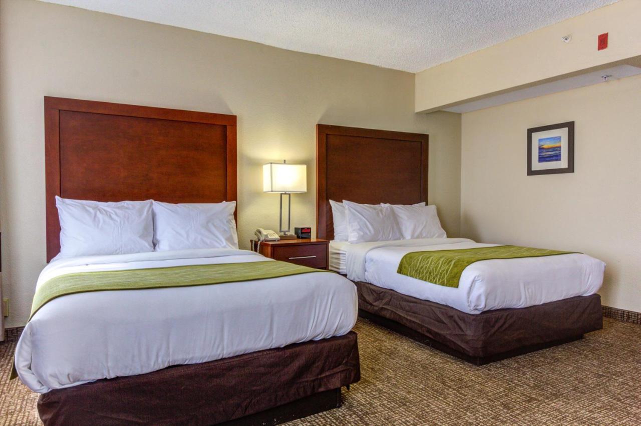 Comfort Inn St Petersburg North Экстерьер фото