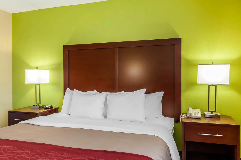 Comfort Inn St Petersburg North Экстерьер фото