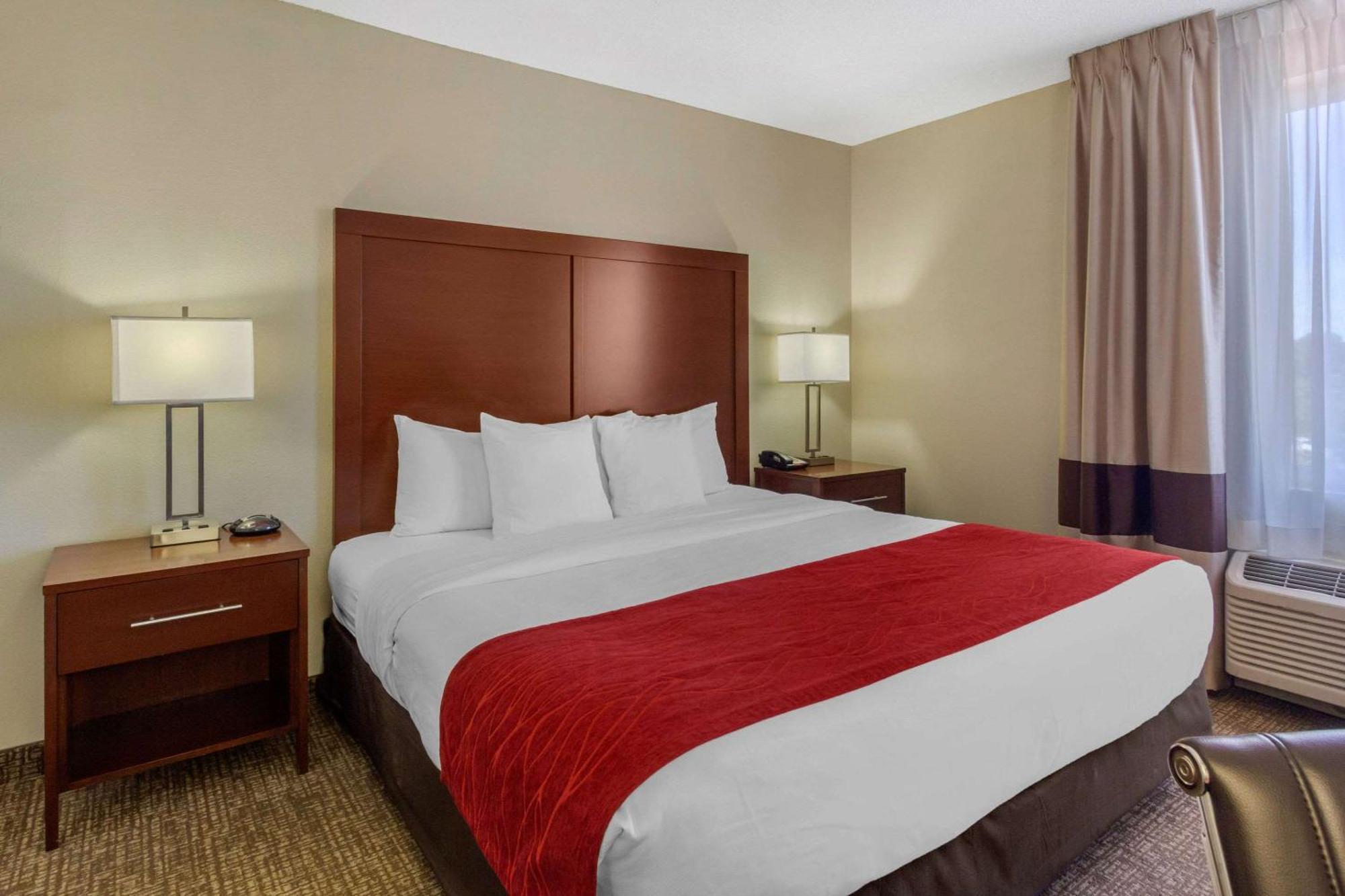 Comfort Inn St Petersburg North Экстерьер фото