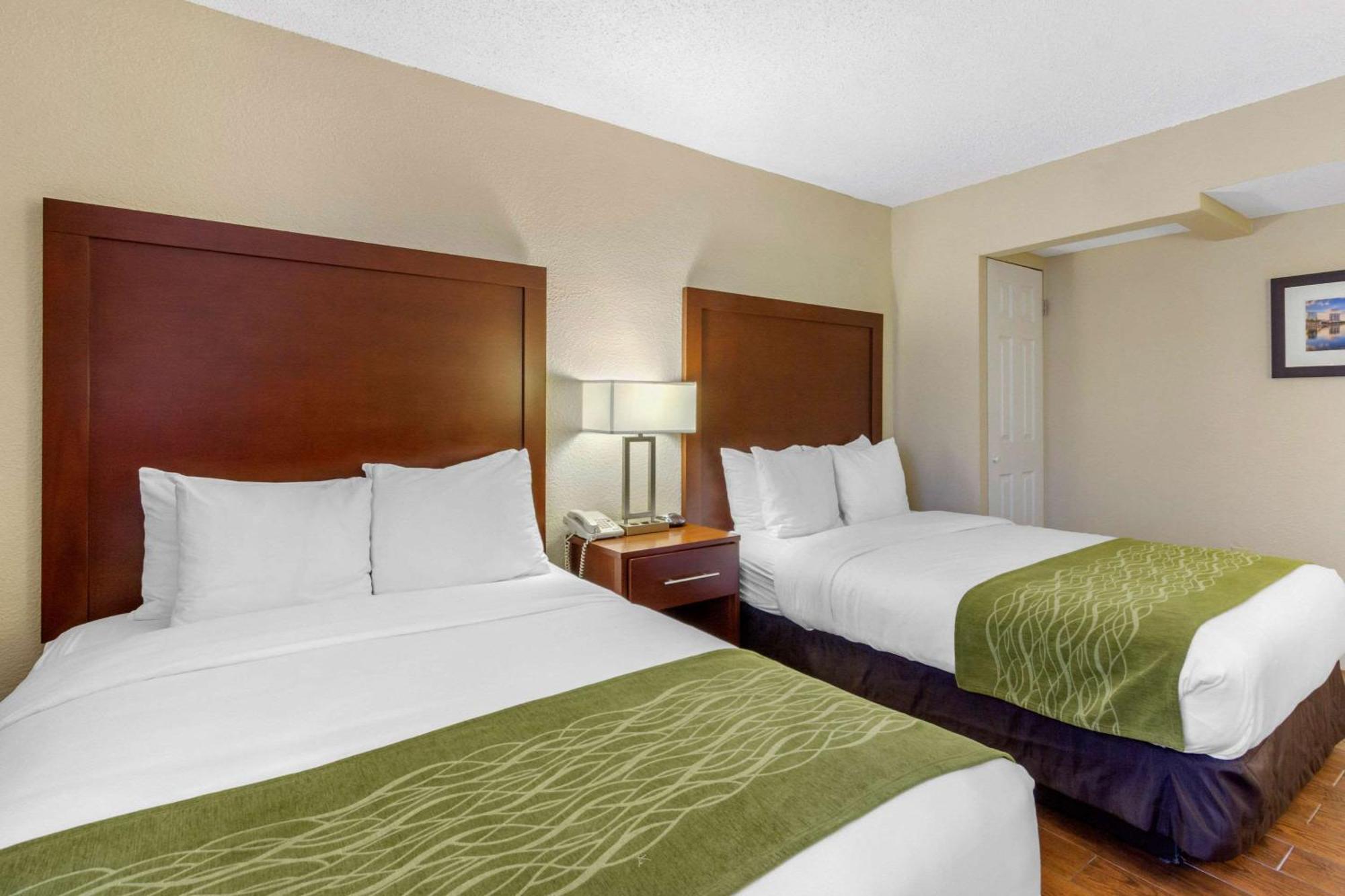 Comfort Inn St Petersburg North Экстерьер фото